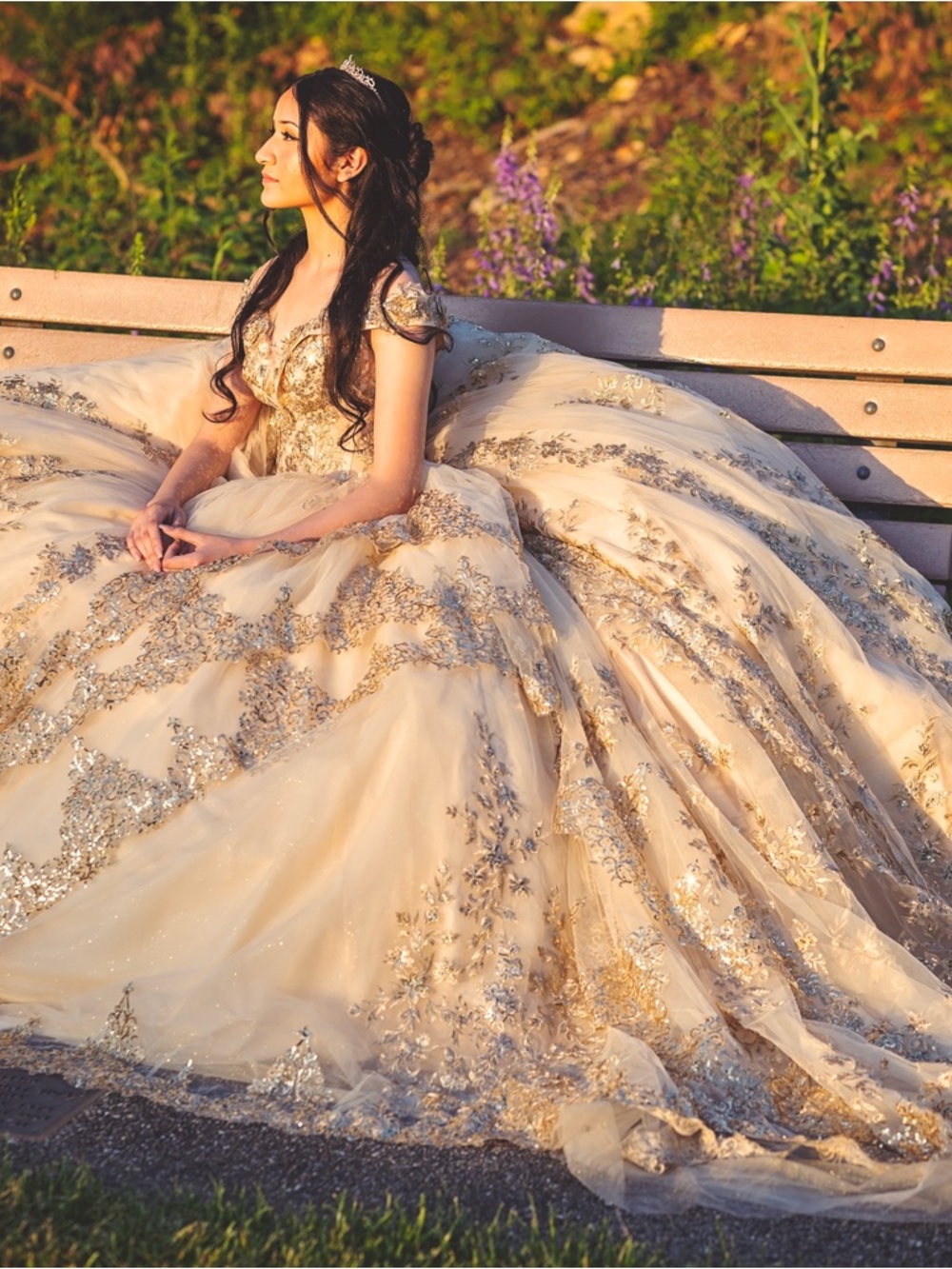 XV Quinceañera Dress